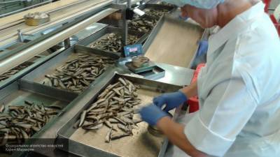 Один из старейших рыбных заводов Латвии прекратил свою работу