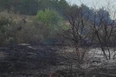 В Севастополе пожар уничтожил 1,5 гектара леса