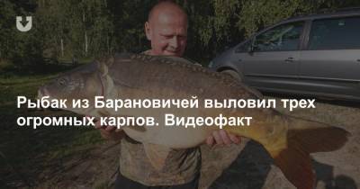 Рыбак из Барановичей выловил трех огромных карпов. Видеофакт - news.tut.by