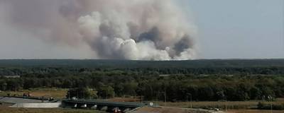 В Воронежской области горит 10 га леса