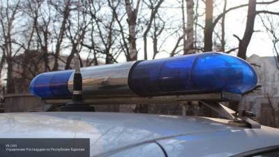 Полиция Петербурга подозревает студента в убийстве матери