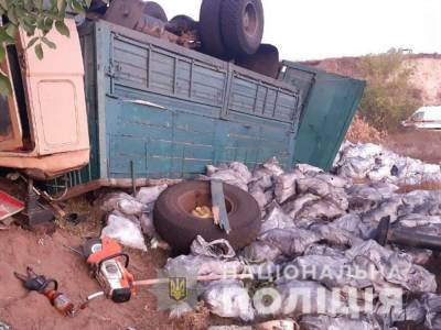 ДТП на Николаевщине: грузовик при спуске съехал в кювет и перевернулся