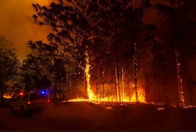 В Калифорнии усиливаются пожары, горит национальный парк