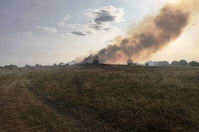 В Житомирской области произошел масштабный пожар на свалке