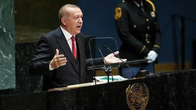 Эрдоган призвал к реформированию Совета безопасности ООН