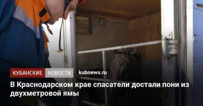 В Краснодарском крае спасатели достали пони из двухметровой ямы