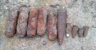 В лесу под Балтийском, где от взрыва снаряда пострадали дети, нашли более 1100 боеприпасов