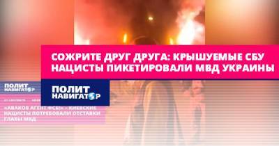 Сожрите друг друга: Крышуемые СБУ нацисты пикетировали МВД Украины