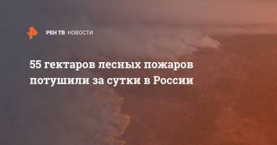 55 гектаров лесных пожаров потушили за сутки в России