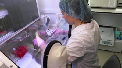 В России испытают еще одну вакцину против коронавируса
