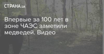 Впервые за 100 лет в зоне ЧАЭС заметили медведей. Видео - strana.ua - Украина