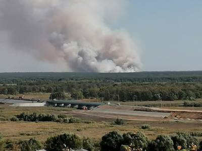 В Воронежской области локализовали крупный лесной пожар на площади 75 га