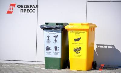 В Госдуме предложили помочь регионам с закупкой мусорных баков