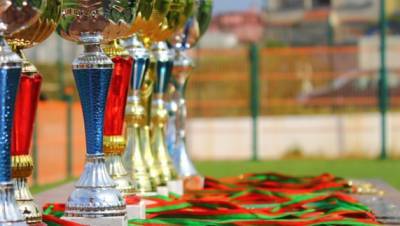 Донские спортсмены завоевали пять медалей на Кубке России по спортивной борьбе