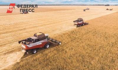 В Тюменской области завершается уборка зерновых