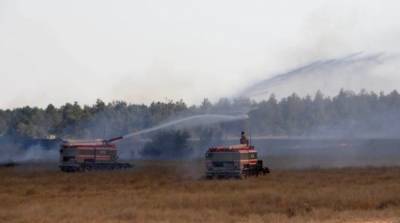 В Херсонской области второй день тушат пожар в лесничестве