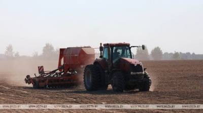 Сев озимых зерновых в Беларуси проведен на половине площадей