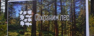 В Красногорске пройдет акция по высадке деревьев «Наш лес»