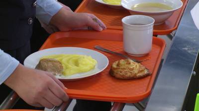 Воронежские родители смогут контролировать школьное питание детей с помощью чек-листа