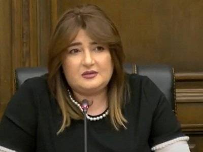 «Процветающая Армения»: СНБ должна заниматься своей непосредственной деятельностью
