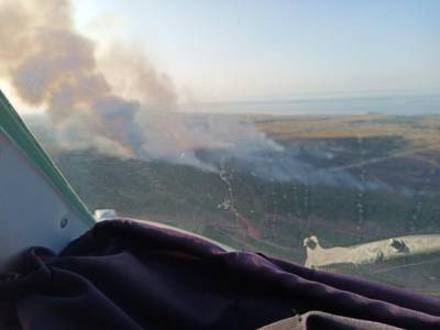 В Херсонской области продолжает гореть лес: пламя тушат с воздуха – ГСЧС