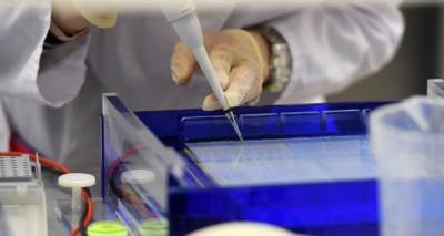 В Латвии вспышка коронавируса: за сутки выявлено 34 случая, 19 - на одном предприятии