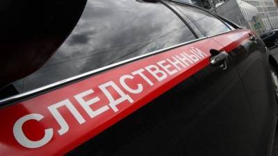 В СК РФ подтвердили задержание участников «секты Виссариона» под Красноярском