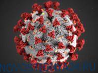 Специалисты разобрались с мутациями коронавируса