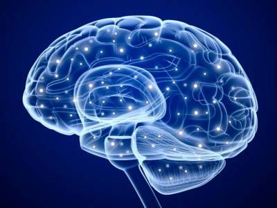 Ученые сделали невероятное открытие о человеческом мозге