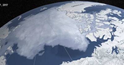 Почему исчезновение льдов Арктики важно? Объяснили ученые