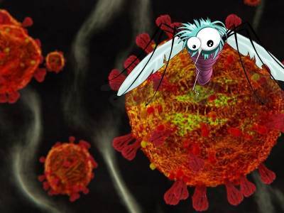 Болезнь вместо лекарства? Ученые хотят убить COVID-19 лихорадкой денге