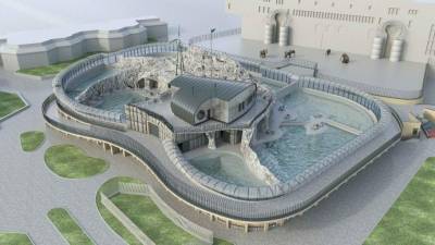 В 2021 году в Московском зоопарке откроется обновленный павильон «Ластоногие»