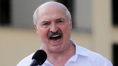 Политик: Лукашенко попал в плачевную ситуацию