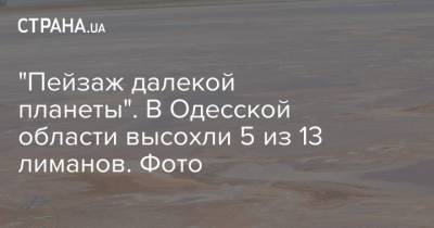 "Пейзаж далекой планеты". В Одесской области высохли 5 из 13 лиманов. Фото