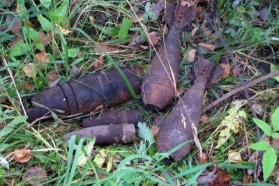 Смоленские грибники нашли в ярцевском лесу снаряды, мины и гранаты