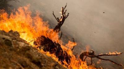 Смог от лесных пожаров может накрыть отдельные районы Якутии