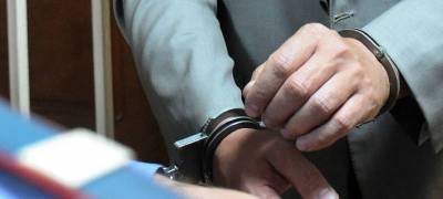 Житель Карелии предстанет перед судом за изнасилование
