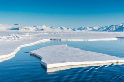 Мир движется к тому, что летом в Арктике вообще не будет льда, - ученые