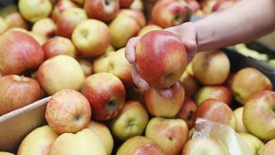 В Польше заявили о готовности поставлять яблоки в Россию после снятия эмбарго