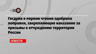 Госдума в первом чтении одобрила поправки, закрепляющие наказание за призывы к отчуждению территории России