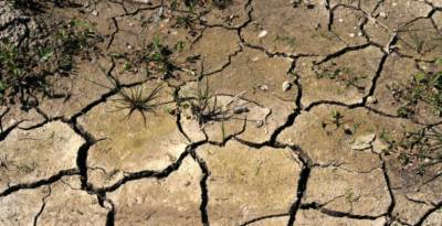 Ученые предсказали глобальную длительную засуху