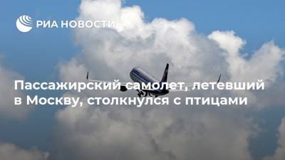 Пассажирский самолет, летевший в Москву, столкнулся с птицами