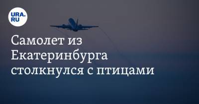 Самолет из Екатеринбурга столкнулся с птицами