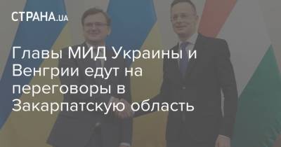Главы МИД Украины и Венгрии едут на переговоры в Закарпатскую область
