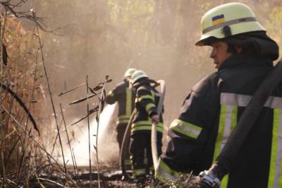 Пожарники на третьи сутки справились с огнем на дарницкой свалке в Киеве