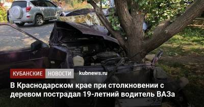 В Краснодарском крае при столкновении с деревом пострадал 19-летний водитель ВАЗа