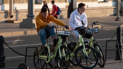 Велосветофоры могут появиться в Петербурге в 2022 году
