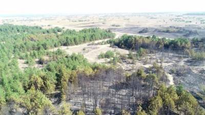 На Херсонщине потушили лесной пожар, возникший во время стрельбы на полигоне ВСУ