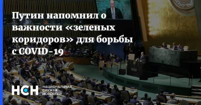 Путин напомнил о важности «зеленых коридоров» для борьбы с COVID-19