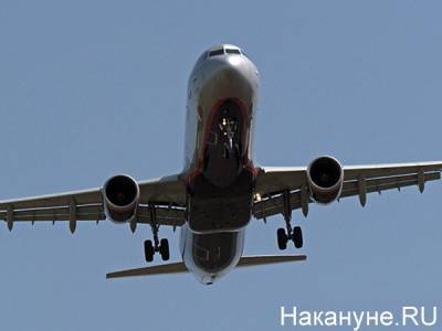 Самолет "Аэрофлота" столкнулся с птицами на вылете из "Кольцово"